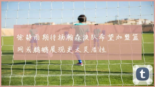 徐静雨期待杨瀚森换队希望加盟篮网或鹈鹕展现更大灵活性