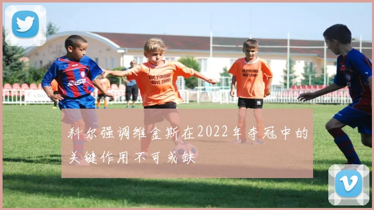 科尔强调维金斯在2022年夺冠中的关键作用不可或缺